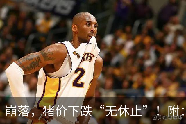 崩落，猪价下跌“无休止”！附：10月28日猪价